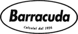 Міжнародна реєстрація торговельної марки № 1048431: Barracuda Calzolai dal 1896