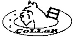 Міжнародна реєстрація торговельної марки № 1049845: CoLLaR