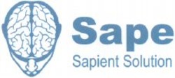 Міжнародна реєстрація торговельної марки № 1049862: Sape Sapient Solution