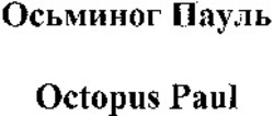 Міжнародна реєстрація торговельної марки № 1069290: Octopus Paul
