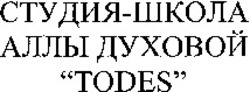 Міжнародна реєстрація торговельної марки № 1087633: "TODES"