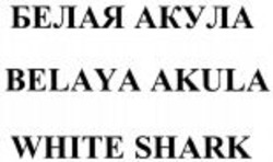 Міжнародна реєстрація торговельної марки № 1119184: BELAYA AKULA WHITE SHARK
