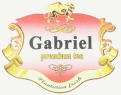 Міжнародна реєстрація торговельної марки № 1138330: Gabriel premium tea Plantation fresh