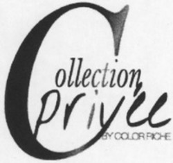 Міжнародна реєстрація торговельної марки № 1202282: Collection privée BY COLOR RICHE