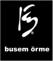 Міжнародна реєстрація торговельної марки № 1237157: busem örme