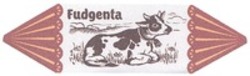 Міжнародна реєстрація торговельної марки № 1328488: Fudgenta