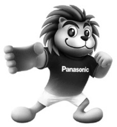 Міжнародна реєстрація торговельної марки № 1407572: Panasonic