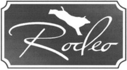 Міжнародна реєстрація торговельної марки № 1541322: Rodeo