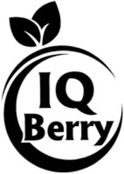 Міжнародна реєстрація торговельної марки № 1572635: IQ Berry