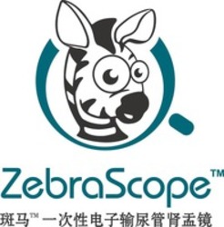 Міжнародна реєстрація торговельної марки № 1641928: ZebraScope