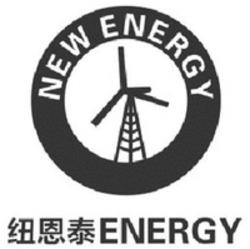 Міжнародна реєстрація торговельної марки № 1652291: NEW ENERGY ENERGY