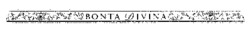Міжнародна реєстрація торговельної марки № 618636: BONTA DIVINA