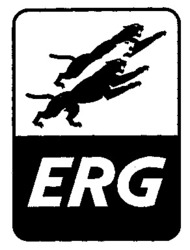 Міжнародна реєстрація торговельної марки № 627262: ERG