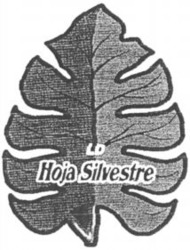 Міжнародна реєстрація торговельної марки № 767315: Hoja Silvestre