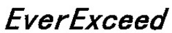 Міжнародна реєстрація торговельної марки № 875460: EverExceed