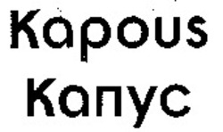 Міжнародна реєстрація торговельної марки № 880565: Kapous
