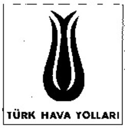 Міжнародна реєстрація торговельної марки № 900846: TÜRK HAVA YOLLARI