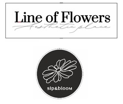 Заявка на торговельну марку № m202324924: sip&bloom; aesthetic place; line of flowers