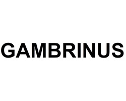 Свідоцтво торговельну марку № 334997 (заявка m202103179): gambrinus