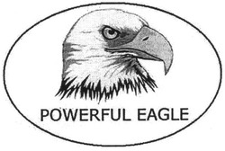 Заявка на торговельну марку № m201303995: powerful eagle
