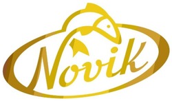 Заявка на торговельну марку № m201911684: novik; nouik