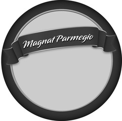 Свідоцтво торговельну марку № 173459 (заявка m201211161): magnat parmegio
