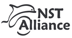 Заявка на торговельну марку № m202401980: nst alliance