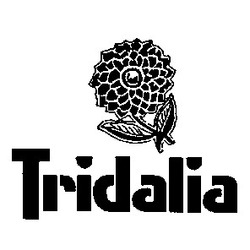 Свідоцтво торговельну марку № 6125 (заявка 125448/SU): tridalia