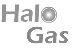 Свідоцтво торговельну марку № 292828 (заявка m202011225): halo gas