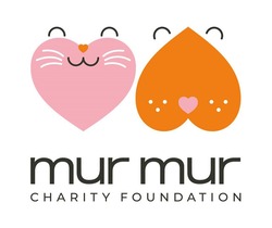 Заявка на торговельну марку № m202209882: mur mur charity foundation