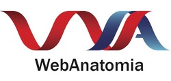 Свідоцтво торговельну марку № 287374 (заявка m201825274): webanatomia; web anatomia; wa; vva