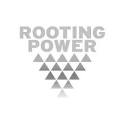Свідоцтво торговельну марку № 162412 (заявка m201119656): rooting power