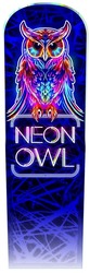 Заявка на торговельну марку № m202401457: neon owl