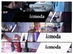 Заявка на торговельну марку № m201721360: lamoda; la moda