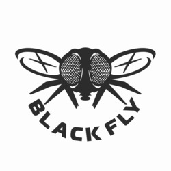 Заявка на торговельну марку № m202324279: black fly
