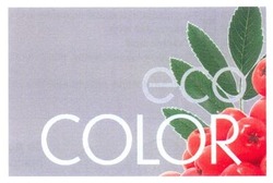 Свідоцтво торговельну марку № 213101 (заявка m201405643): eco color
