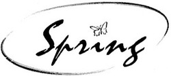 Свідоцтво торговельну марку № 33425 (заявка 2001074075): spring
