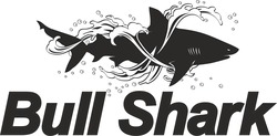 Заявка на торговельну марку № m202204706: bull shark