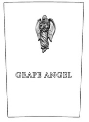 Заявка на торговельну марку № m202409687: grape angel