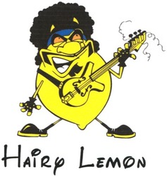 Свідоцтво торговельну марку № 69780 (заявка 20041112373): hairy lemon; hairp
