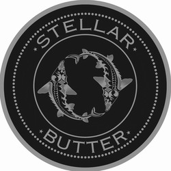 Заявка на торговельну марку № m202120025: stellar butter