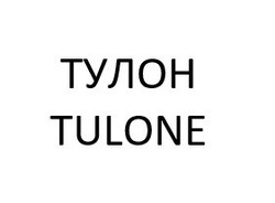 Свідоцтво торговельну марку № 325275 (заявка m202102408): tulone; тулон