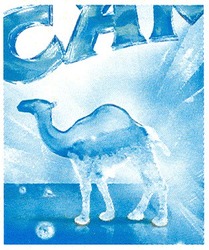 Свідоцтво торговельну марку № 161237 (заявка m201207328): camel; сам