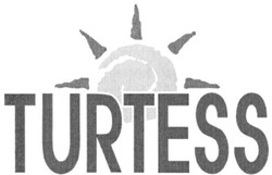 Свідоцтво торговельну марку № 146606 (заявка m201015388): turtess