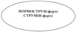 Заявка на торговельну марку № m201214944: нормострум-форте; струмін-форте