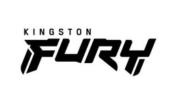 Свідоцтво торговельну марку № 335529 (заявка m202112424): kingston fury