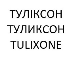 Свідоцтво торговельну марку № 325273 (заявка m202102400): tulixone; туліксон; туликсон