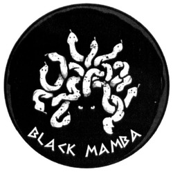 Свідоцтво торговельну марку № 288243 (заявка m201826813): black mamba