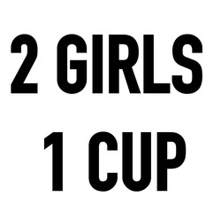 Заявка на торговельну марку № m202015487: 2 girls 1 cup