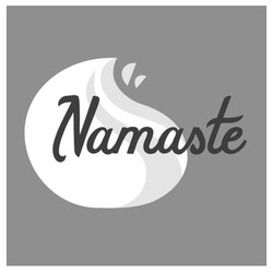 Заявка на торговельну марку № m202322970: namaste